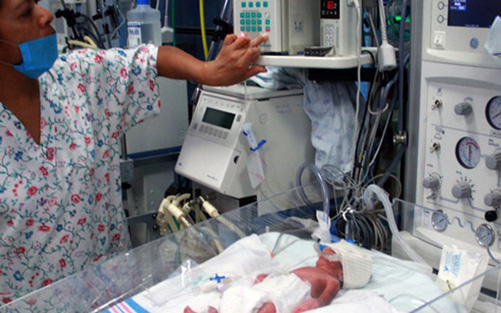 巴西兹卡病毒疫情致200多名新生儿脑畸形，5名婴儿死亡