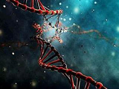 遗传学家：基因编辑技术可改变生命及地球所有事物.jpg