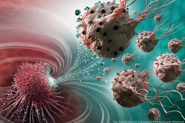 MC-1(T)趋磁球菌“生物导弹”，可精准锁定攻击癌细胞.jpg