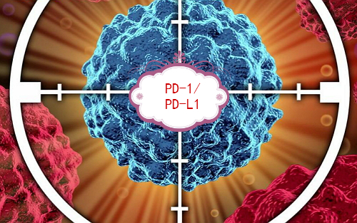 高福院士发表抗PD-1或PD-L1抗体药物作用的分子机制研究展望文章